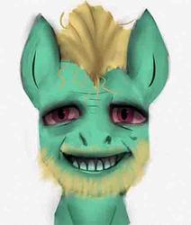 Size: 436x513 | Tagged: safe, artist:jellymaggot, zephyr breeze, pegasus, pony, g4, 4chan, bloodshot eyes, bust, coomer, creepy, creepy smile, cursed image, drawthread, facial hair, meme, ponified, ponified meme, red eyes, simple background, smiling, truth, uncanny valley, white background, wojak