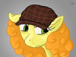 Size: 900x676 | Tagged: safe, artist:theslendid, carrot top, golden harvest, earth pony, pony, g4, female, floppy ears, hat, mare, solo