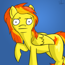 Size: 800x800 | Tagged: safe, artist:theslendid, spitfire, pegasus, pony, g4, disapproval, female, one leg raised, solo, ಠ ಠ