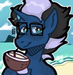 Size: 955x980 | Tagged: safe, artist:_yuridesu, oc, oc only, oc:shabaco, pony, unicorn, bust, coconut, drinking, food, glasses, male, sand, solo, water