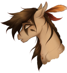 Size: 769x836 | Tagged: safe, artist:bootsdotexe, oc, oc only, oc:featherfall, pony, comic:beyond our borders, bust, facial markings, feather, male, portrait, simple background, solo, stallion, transparent background