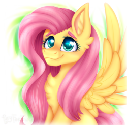 Size: 1024x1008 | Tagged: safe, artist:coffee-draws, artist:marty-draws, fluttershy, pegasus, pony, g4, chest fluff, collaboration, cute, ear fluff, female, mare, shyabetes, simple background, smiling, solo, transparent background