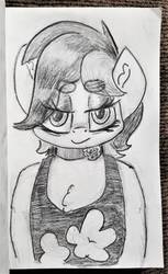 Size: 699x1143 | Tagged: safe, artist:shoeunit, roseluck, earth pony, pony, semi-anthro, g4, clothes, female, mare, pencil drawing, solo, traditional art
