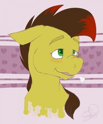 Size: 1063x1280 | Tagged: safe, artist:sanic-x, oc, oc only, oc:raunches, earth pony, pony, 2015, brown mane, digital art, female, green eyes, simple background, solo