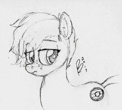 Size: 992x891 | Tagged: safe, artist:riggyrag, oc, oc only, oc:morning star, pony, black and white, female, freckles, grayscale, mare, monochrome, signature, simple background, sketch, solo, traditional art, white background