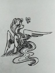 Size: 1280x1681 | Tagged: safe, artist:blutmie89, fluttershy, butterfly, pegasus, pony, g4, female, mare, monochrome, solo, traditional art
