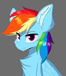 Size: 836x956 | Tagged: safe, artist:lunar froxy, rainbow dash, pegasus, pony, g4, 30 minute art challenge, bust, chest fluff, ear fluff, eye clipping through hair, female, frown, portrait, simple background, solo