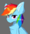 Size: 836x956 | Tagged: safe, artist:lunar froxy, rainbow dash, pegasus, pony, g4, 30 minute art challenge, bust, chest fluff, ear fluff, eye clipping through hair, female, frown, gray background, portrait, simple background, solo