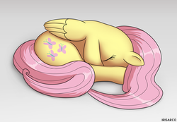 Size: 4581x3173 | Tagged: safe, artist:irisarco, fluttershy, pegasus, pony, g4, behaving like a cat, cute, eyes closed, female, mare, shyabetes, simple background, sleeping, solo