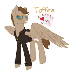 Size: 780x786 | Tagged: artist needed, source needed, safe, oc, oc:toffee scotch, pegasus, pony, card, clothes, cutie mark, jacket, leather jacket, male, pegasus oc, stallion, sunglasses