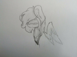 Size: 800x596 | Tagged: safe, artist:hirokies walker, oc, oc only, oc:precised note, pegasus, pony, clothes, eyes closed, glasses, sketch, smiling, traditional art, tuxedo, wings