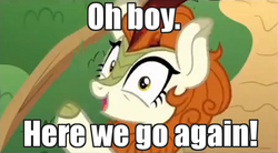 Size: 600x331 | Tagged: safe, edit, edited screencap, screencap, autumn blaze, kirin, g4, sounds of silence, caption, faic, female, here we go again, image macro, looking at you, oh boy here we go, raised hoof, reaction image, solo, text