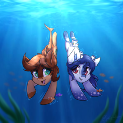 Size: 2000x2000 | Tagged: safe, artist:sonigiraldo, oc, oc only, earth pony, pony, sea pony, bubble, commission, crepuscular rays, duo, female, fish tail, high res, mare, ocean, open mouth, open smile, racing, seaweed, smiling, sunlight, swimming, tail, underwater, water