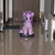 Size: 640x640 | Tagged: safe, artist:nekokevin, starlight glimmer, pony, unicorn, series:nekokevin's glimmy, g4, animated, behaving like a cat, female, happy, irl, it's coming right at us, looking at you, mare, open mouth, photo, plushie, ponies riding roombas, riding, roomba, sitting, solo, sound, underhoof, webm
