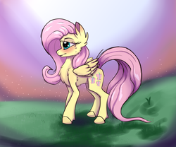 Size: 6000x5000 | Tagged: safe, artist:luxsimx, fluttershy, pegasus, pony, g4, blushing, cheek fluff, chest fluff, ear fluff, female, mare, solo