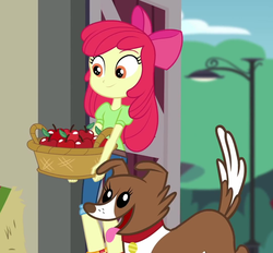 Size: 1076x999 | Tagged: safe, screencap, apple bloom, winona, dog, equestria girls, equestria girls series, g4, holidays unwrapped, the cider louse fools, spoiler:eqg series (season 2), adorabloom, apple, apple basket, apple bloom's bow, basket, bow, collar, cropped, cute, dog collar, female, food, hair bow, street lamp, tongue out