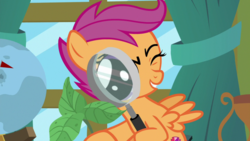 Size: 1920x1080 | Tagged: safe, screencap, scootaloo, pony, g4, the last crusade, female, magnifying glass, solo
