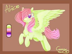 Size: 1600x1200 | Tagged: safe, artist:sugarponypie, oc, oc only, oc:alice, pegasus, pony, abstract background, female, flying, hairpin, looking at you, mare, rainbow, reference sheet, request, solo, spread wings, wings