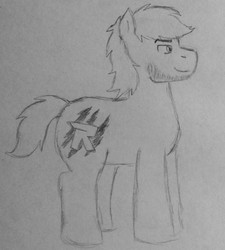 Size: 1280x1421 | Tagged: safe, artist:brickowskibois, earth pony, pony, crossover, disguise, disguised changeling, lego, ponified, rex dangervest, solo, the lego movie, the lego movie 2: the second part, traditional art