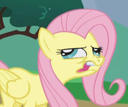 Size: 476x400 | Tagged: safe, edit, edited screencap, screencap, fluttershy, pegasus, pony, g4, sonic rainboom (episode), cropped, faic, female, hurr durr, mare, open mouth, solo