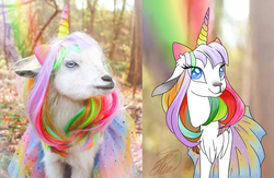 Size: 1345x875 | Tagged: safe, artist:crystalcontemplator, goat, pony, unicorn, cute, ponified, rainbow, redraw