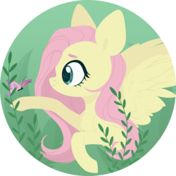 Size: 4000x4000 | Tagged: safe, artist:belka-sempai, fluttershy, butterfly, pegasus, pony, g4, absurd resolution, bust, chest fluff, female, looking at something, mare, profile, reaching, round, smiling, solo, spread wings, wings