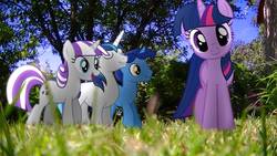 Size: 1192x670 | Tagged: safe, artist:bastbrushie, artist:vbastv, night light, shining armor, twilight sparkle, twilight velvet, pony, unicorn, g4, irl, photo, ponies in real life, sparkle family, twilight's family, unicorn twilight