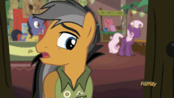 Size: 600x338 | Tagged: safe, screencap, peanut plant, quibble pants, rainbow dash, earth pony, pegasus, pony, g4, stranger than fan fiction, animated, female, gif, male, mare, stallion, unnamed character, unnamed pony