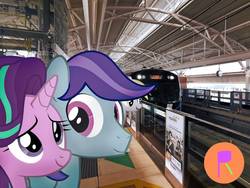 Size: 1032x774 | Tagged: safe, artist:ponyrailartist, starlight glimmer, oc, pegasus, pony, g4, irl, pegasus oc, photo, ponies in real life, show accurate