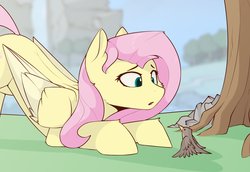 Size: 2478x1700 | Tagged: safe, artist:renderpoint, fluttershy, bird, pegasus, pony, g4, female, mare, solo