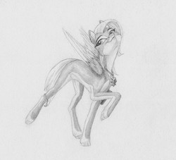 Size: 2515x2282 | Tagged: safe, artist:joestick, oc, oc only, pegasus, pony, female, grayscale, high res, mare, monochrome, pale belly, solo, traditional art