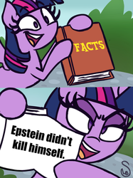 Size: 760x1015 | Tagged: safe, twilight sparkle, alicorn, pony, g4, comic, ed edd n eddy, epstein didn't kill himself, exploitable meme, female, hoof hold, jeffrey epstein, mare, meme, politics in the comments, twilight sparkle (alicorn), twilight's fact book