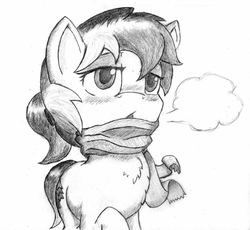 Size: 649x598 | Tagged: safe, artist:spackle, oc, oc only, oc:amber evergreen, oc:buck evergreen, earth pony, pony, blushing, breath, chest fluff, clothes, female, lidded eyes, mare, monochrome, rule 63, scarf, simple background, solo, traditional art