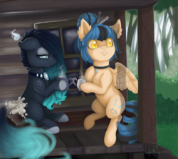 Size: 1339x1193 | Tagged: safe, artist:shady-bush, oc, oc only, oc:halcyon, oc:upcoming rain, original species, pegasus, pony, scented pony, closed species, dexterous hooves, female, mare