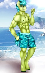 Size: 800x1280 | Tagged: safe, artist:littlebird, sandbar, anthro, unguligrade anthro, g4, beach, clothes, commission, handsome, male, muscles, partial nudity, ripped, solo, stupid sexy sandbar, topless