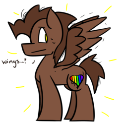 Size: 1000x1000 | Tagged: safe, artist:panti25, oc, oc only, pegasus, pony, solo