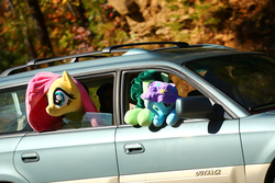 Size: 3456x2304 | Tagged: source needed, safe, fluttershy, trixie, oc, oc:filly anon, g4, car, female, filly, high res, irl, photo, plushie