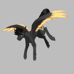 Size: 1500x1500 | Tagged: safe, artist:nsilverdraws, oc, oc only, oc:eldin, pegasus, pony, colored wings, male, simple background, solo, stallion, two toned wings, wings