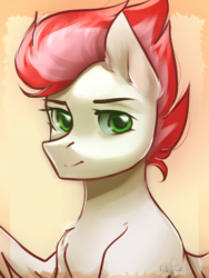 Size: 700x933 | Tagged: safe, artist:pechenak, oc, oc only, oc:swift apex, pegasus, pony, looking at you, pegasus oc, solo