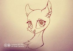 Size: 900x634 | Tagged: safe, artist:silver fox, earth pony, pony, bust, chest fluff, lineart, photo, traditional art