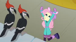 Size: 1600x900 | Tagged: safe, screencap, fluttershy, bird, woodpecker, blizzard or bust, equestria girls, equestria girls series, g4, holidays unwrapped, spoiler:eqg series (season 2), boots, bunny ears, clothes, coat, dancing, female, hands up, mittens, shoes, whistling, winter outfit