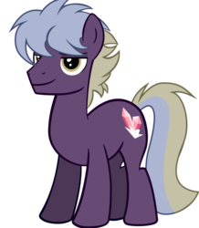 Size: 657x755 | Tagged: safe, artist:warszak, oc, oc only, oc:hope chest, earth pony, pony, male, simple background, solo, stallion, vector