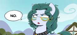Size: 981x453 | Tagged: safe, artist:shoutingisfun, cloudy quartz, earth pony, pony, g4, cropped, dialogue, loose hair, no, solo, speech bubble