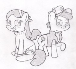 Size: 900x818 | Tagged: safe, artist:seabastian, earth pony, pony, colt, dipper pines, female, filly, gravity falls, mabel pines, male, ponified