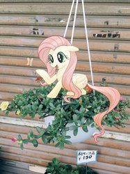 Size: 1272x1697 | Tagged: safe, artist:5mmumm5, fluttershy, butterfly, pegasus, pony, g4, cute, female, floppy ears, flower, irl, mare, open mouth, photo, photography, plant, ponies in real life, potted plant, shyabetes, solo