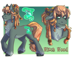 Size: 5000x4000 | Tagged: safe, artist:jeshh, oc, oc only, oc:witch wood, earth pony, pony, absurd resolution, magical lesbian spawn, male, offspring, parent:applejack, parent:tree hugger, parents:treejack, solo, stallion, straw in mouth