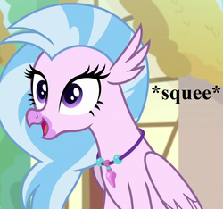 Size: 768x720 | Tagged: safe, edit, edited screencap, editor:korora, screencap, silverstream, g4, uprooted, cropped, cute, diastreamies, jewelry, necklace, ponyville, reaction image, squee