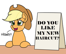 Size: 1100x900 | Tagged: safe, artist:mkogwheel edits, edit, applejack, g4, applejack's hat, applejack's sign, cowboy hat, haircut, hat, howdy, meme, question, text