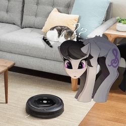 Size: 2098x2098 | Tagged: safe, artist:yakovlev-vad, edit, octavia melody, cat, earth pony, pony, g4, behaving like a cat, high res, irl, photo, ponies in real life, question mark, roomba, solo, tavicat