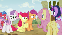 Size: 1920x1080 | Tagged: safe, screencap, apple bloom, biscuit, fluttershy, scootaloo, sweetie belle, twilight sparkle, alicorn, earth pony, pegasus, pony, unicorn, g4, growing up is hard to do, butt, cutie mark crusaders, female, mare, older, plot, saddle bag, twilight sparkle (alicorn)